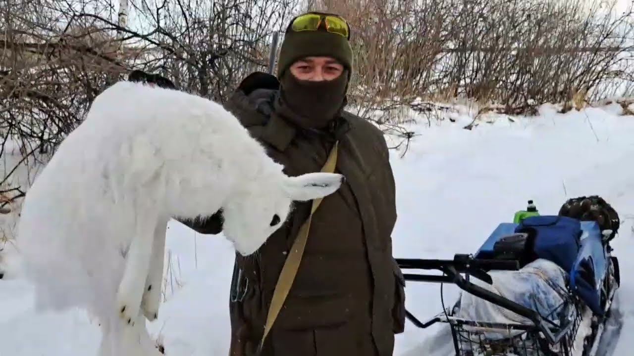 Видео от клиента с охоты с мотобуксировщиком Draxter MB500 смотреть онлайн