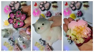 АСМРСквиши🐾только ТАБА СКВИШИ и антистрессы асмр распаковка сквишей и антистрессов🥰