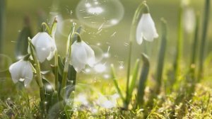 Пробуждение  !!   (Со спецэффектами)