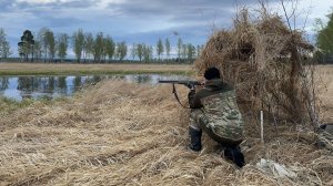 ВЕСНА. ОХОТА НА СЕЛЕЗНЯ