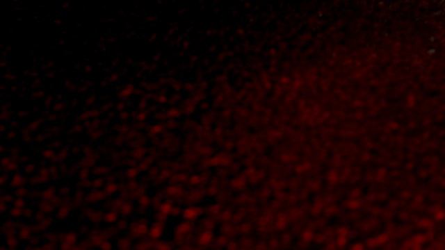 Got Me Lookin So Crazy Right Now