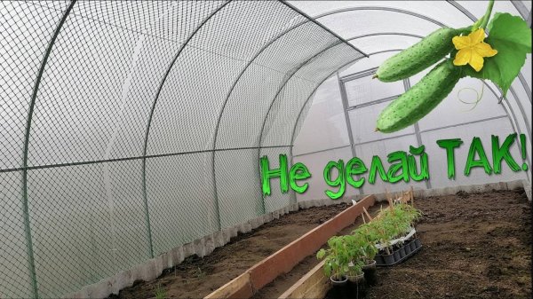 Сделал сетку для огурцов в теплицу и пожалел | Как точно НЕ НУЖНО делать