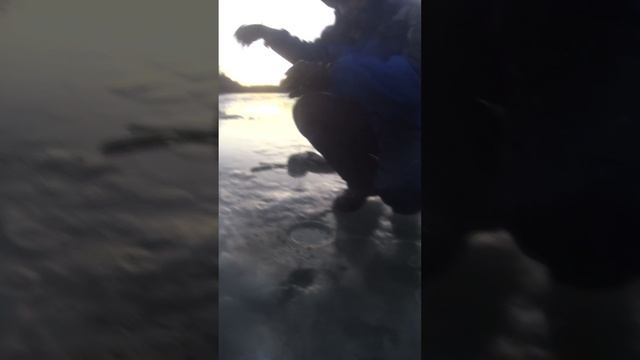 Рыбалка на косынку! Плотва в косынку профильную! смотреть онлайн