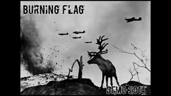 1. Демократия Идёт (Burning flag DEMO 2014)