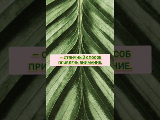 Быть физически привлекательными... #правдажизни #правдаожизни смотреть онлайн