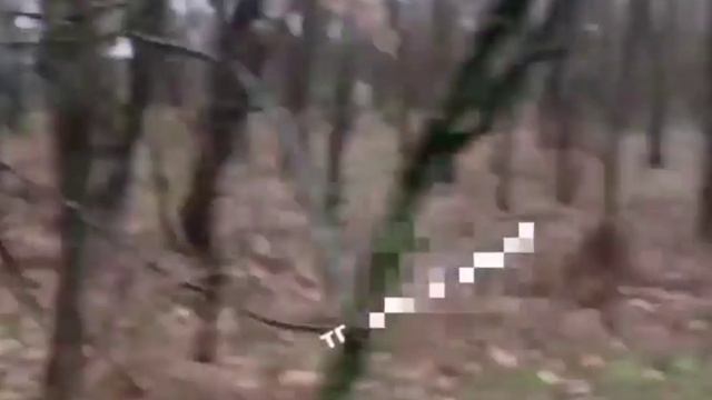 Рубрика как делать не надо! 
Минимальная дистанция должна быть не менее 30 метров.