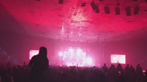 А я мучаюсь от боли с фотографией в альбоме...