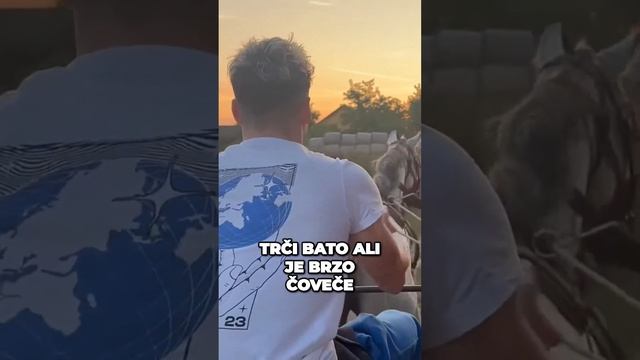 Drš Se Bato #simi #balkan #viral #shorts смотреть онлайн