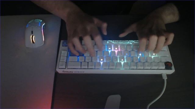 Ducky One 3 SF (Speed Silver) Typing test #shorts смотреть онлайн