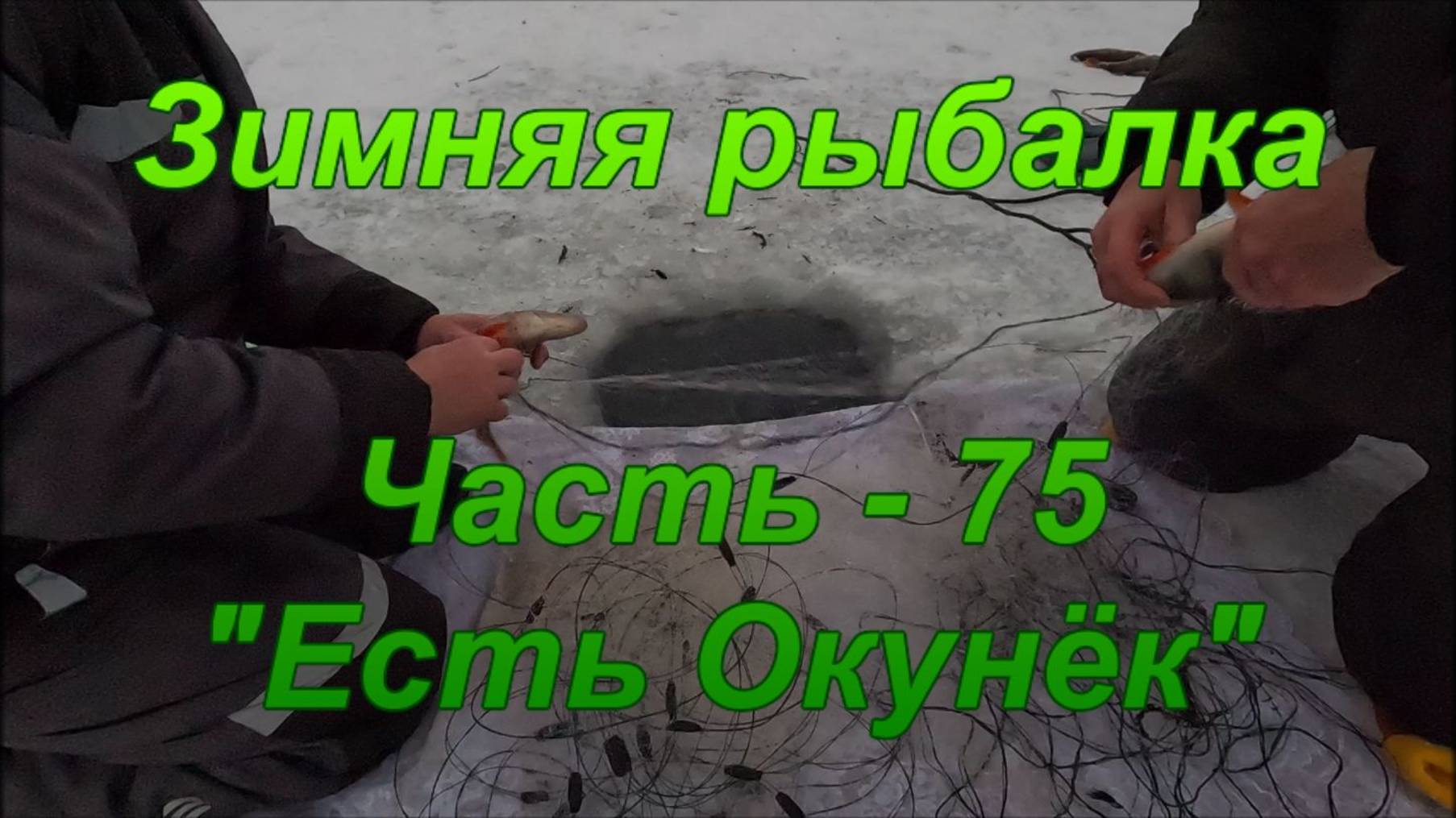 Зимняя рыбалка. Часть - 75. "Есть Окунёк". смотреть онлайн