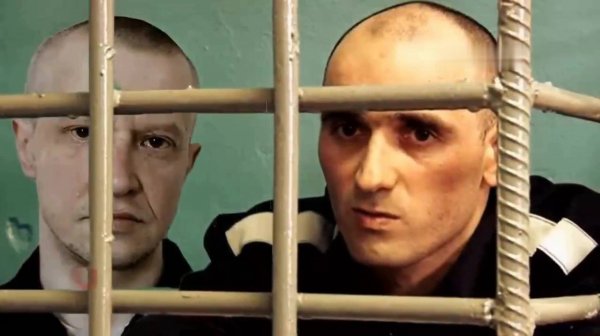 Полярная сова