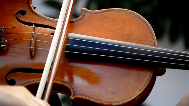 VladLaws Music 