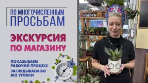 Экскурсия по моему цветочному магазину. Все тайные уголки и закрома. Ведьминский уголок изнутри.