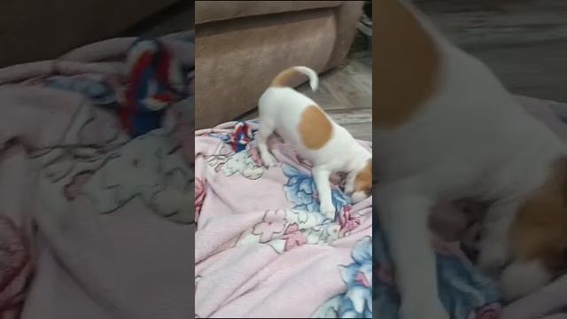 очень смешная 😂😂😂😂😂😂 смотреть онлайн