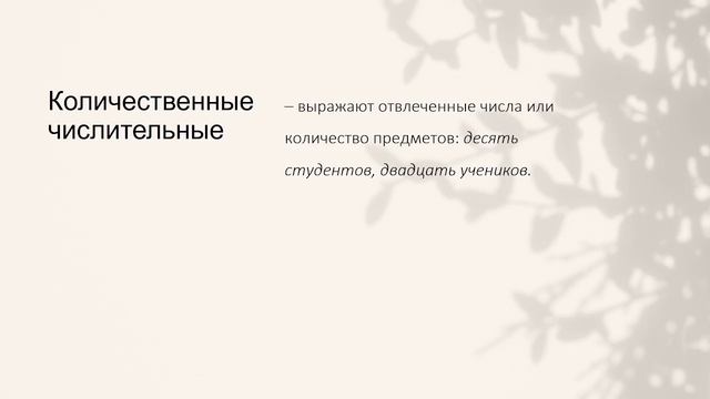 Долгополова М. В. Тема 4. Морфология русского языка. Имя прилагательное. смотреть онлайн