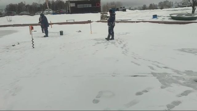 WhatsApp Video 2025-01-16 at 09.35.23 смотреть онлайн