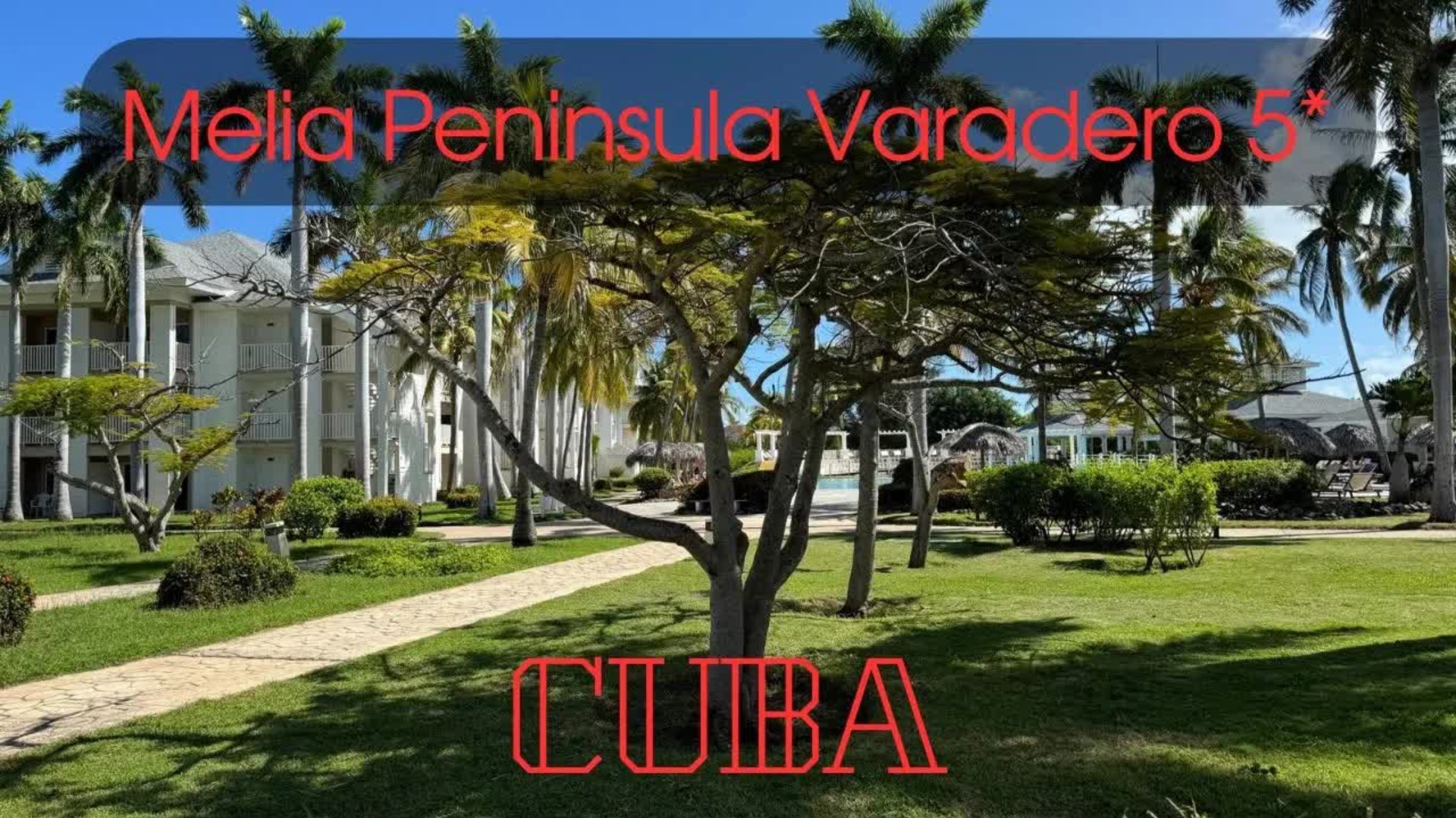 🇨🇺 Melia Peninsula Varadero 5*. Отель для семейного отдыха и для молодежи. Скучно не будет! #куба