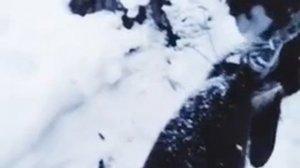 КП-140 - отчёт промысловика из Якутии