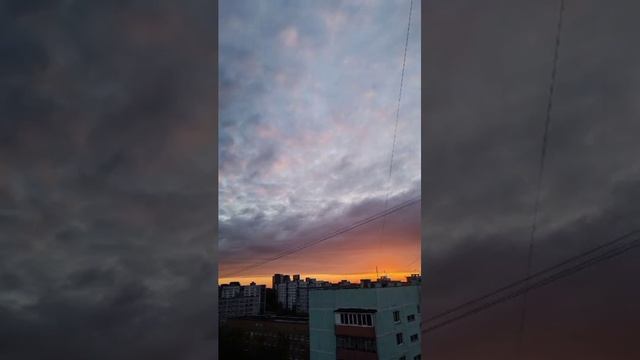 Закат такой как буто?? #respect #viral #funny #подпишись #собака #shorts2024 #shortsvideo #шортсы смотреть онлайн