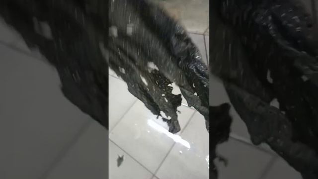 не дует турбина вот в чем причина смотреть онлайн