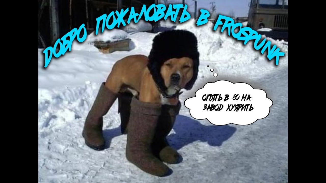 Frostpunk - Стрим №1, Сызрань встречай