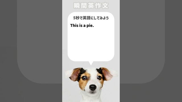【瞬間英作文】これはパイです。 смотреть онлайн