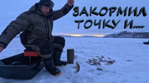 БЕЗМОТЫЛКА+ОПАРИК ЛУЧШЕ БАЛАНСИРА ???| КОМСОМОЛКА  КВХ