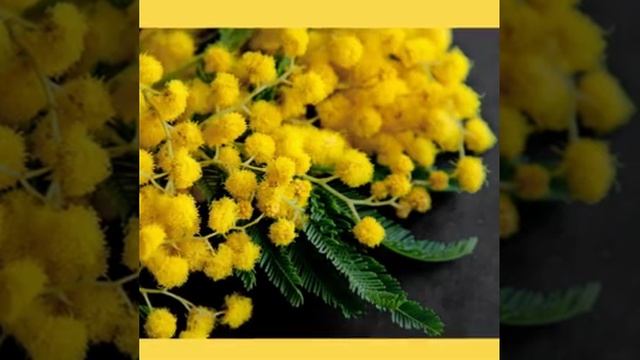 куколки с 8марта смотреть онлайн