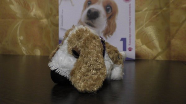 Обзор журнала The Dog Collection (Выпуск №1)