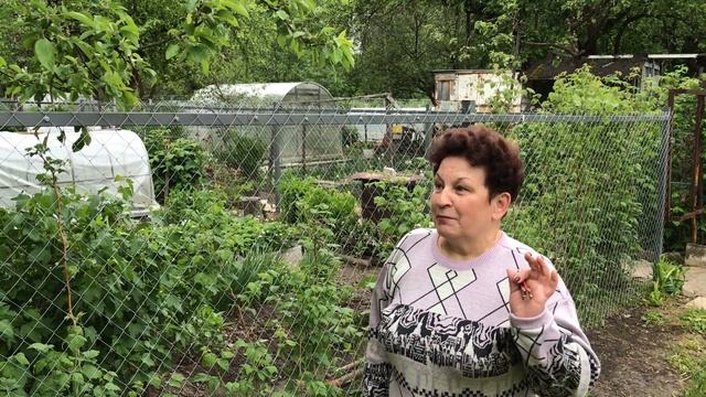 IMG_0562 смотреть онлайн