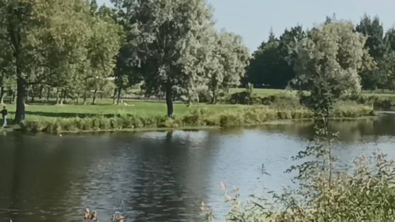 Муринский ручей 2