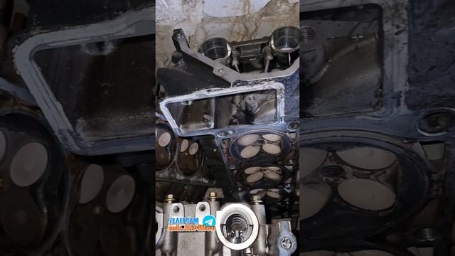 ГБЦ 405, 406, 409! ГАЗ и УАЗ ☎️ +79370738633 Михаил #кириллов #газель #авторазбор #самарскийавтораз смотреть онлайн