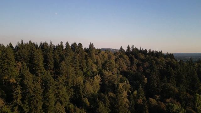 Reveal with DJI Mini 3 Pro and ND64 filter смотреть онлайн