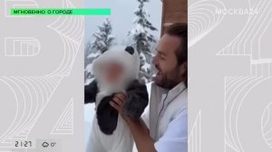 "Московский патруль": бросивший младенца в сугроб блогер Косенко заочно арестован