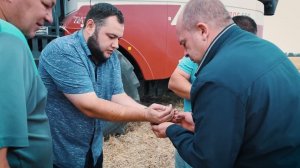 Очесывающая жатка "ОЗОН" ПАО "ПЕНЗМАШ" на уборке семян  высокорослой технической конопли, 2024