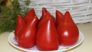 ТОМАТЫ! Эти СОРТА на ВЕКА!