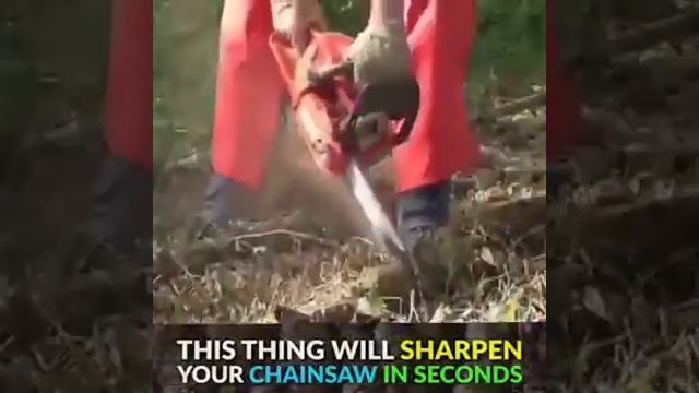 Chainsaw Teeth Sharpener смотреть онлайн