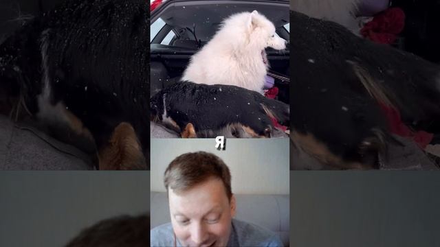 Легендарная шутка про паштет смотреть онлайн