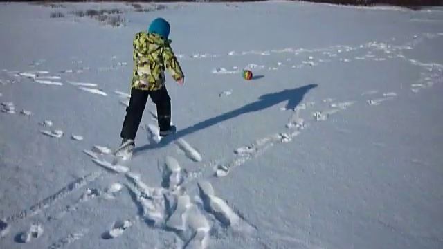 P1180977 На белом,белом покрывале января 24 числа 2020 года.Славный внучек и Джордж !!!На Хопре! смотреть онлайн