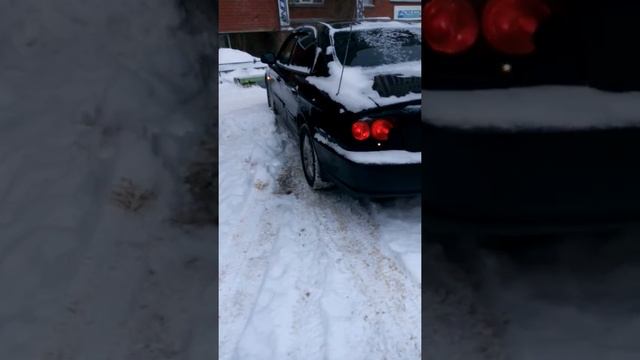 Бегущий поворотник при дневном свете смотреть онлайн