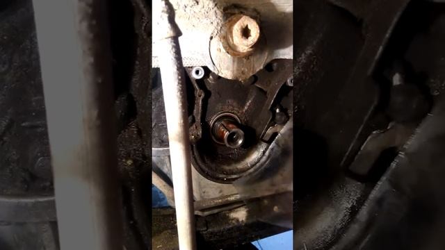 11 января 2019 г. смотреть онлайн