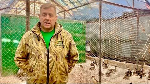 Будет ли Олег Зубков спасать птиц, если шансы на выздоровление РАВНЫ НУЛЮ! смотреть онлайн