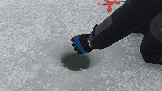 СВАЛИЛА КРАСОТКА ❗️ смотреть онлайн