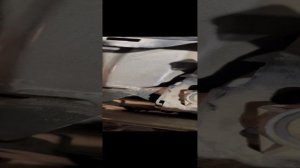 Ремонт трапеции Фрилендер 2