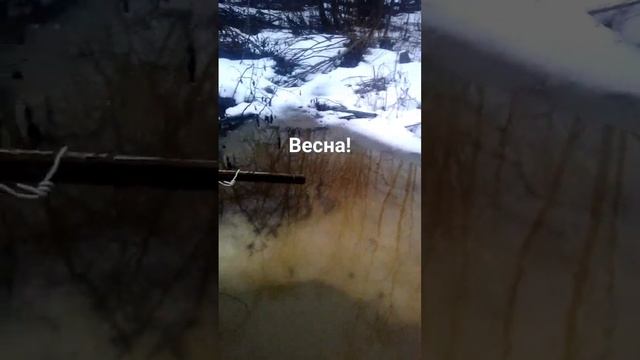 24.02.2024г. В Беларусь пришла весна! Снег тает, бегут ручьи!❤️🙏😀😉👍 смотреть онлайн
