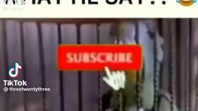 Fuck That Doodoo Out My Butt Nigga