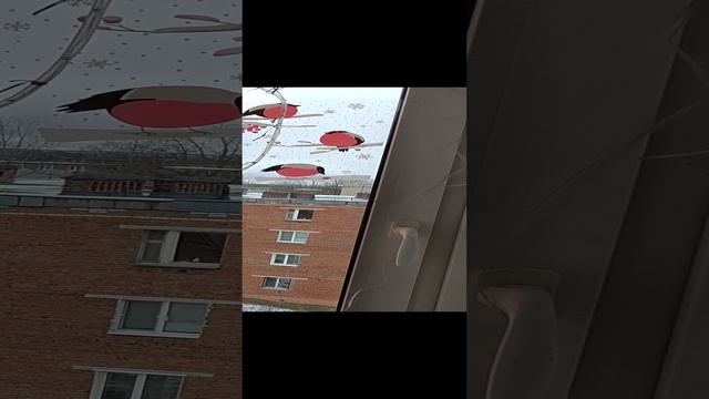 События и хорошие и плохие ,мы сами творим и привлекаем в свою жизнь.
