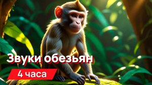 Месть соседям - звуки обезьян 4 часа