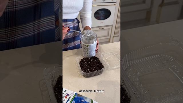 Красивые и нежные – готовимся к пышному цветению дельфиниумов в январе смотреть онлайн