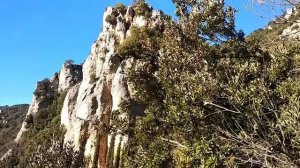 ЖИЗНЬ ОТШЕЛЬНИКА🏕️ АФОН🏔️  Фильм Монаха  Салафиила (Филипьева).